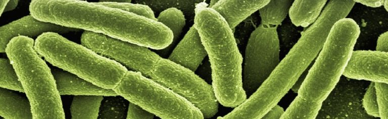 Batteri Resistenti, una minaccia per la nostra salute